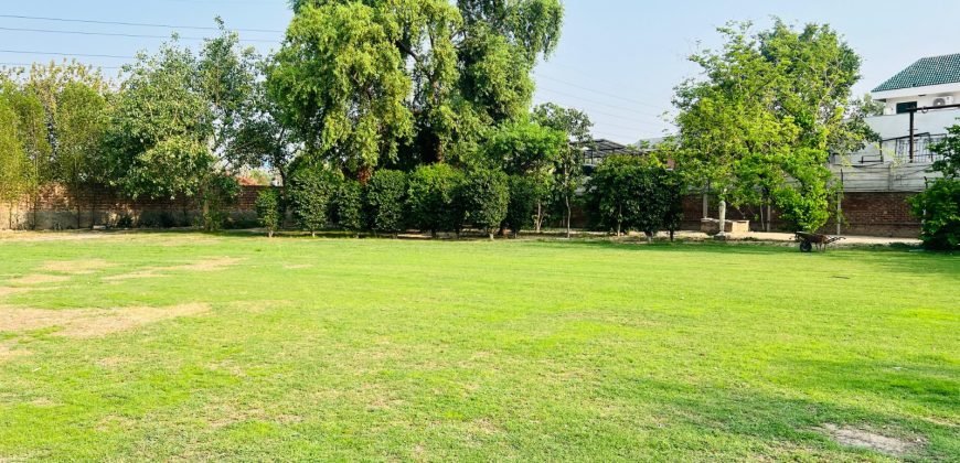 WAPDA TOWN FARMHOUSE 268