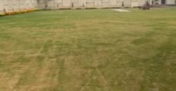 ABDULSATAR ROAD FARMHOUSE 281