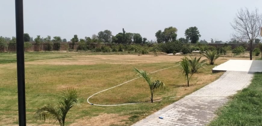 BEDIAN ROAD FARMHOSUE 111