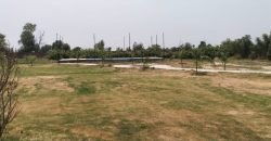 BEDIAN ROAD FARMHOSUE 111