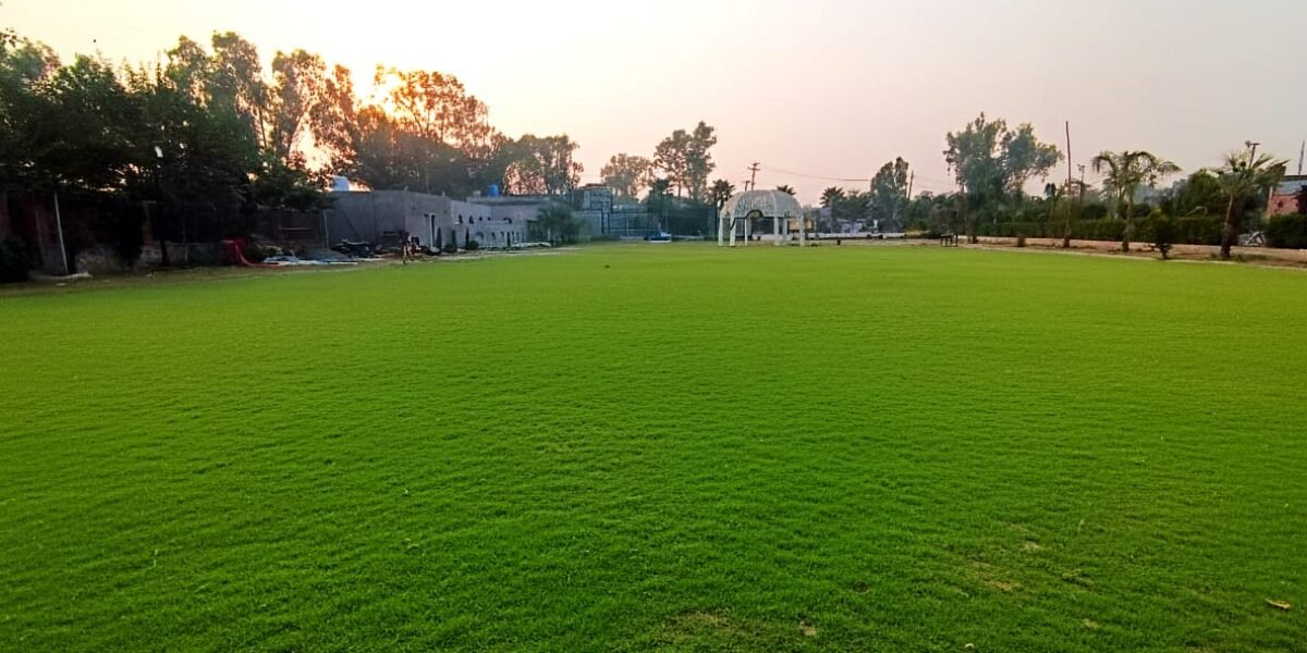 BEDIAN ROAD FARMHOUSE 334