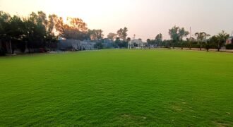 BEDIAN ROAD FARMHOUSE 334