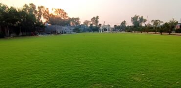 BEDIAN ROAD FARMHOUSE 334