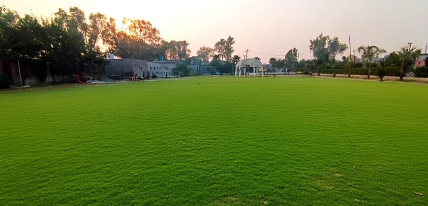 BEDIAN ROAD FARMHOUSE 334