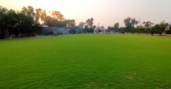 BEDIAN ROAD FARMHOUSE 333