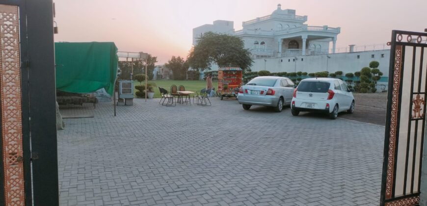 PINEAVENUE FARMHOUSE 297