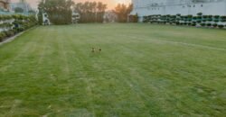 PINEAVENUE FARMHOUSE 297