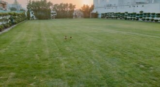 PINEAVENUE FARMHOUSE 297