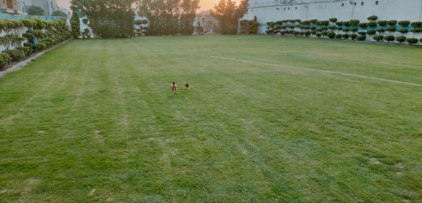 PINEAVENUE FARMHOUSE 297