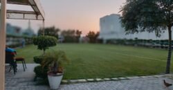 PINEAVENUE FARMHOUSE 297