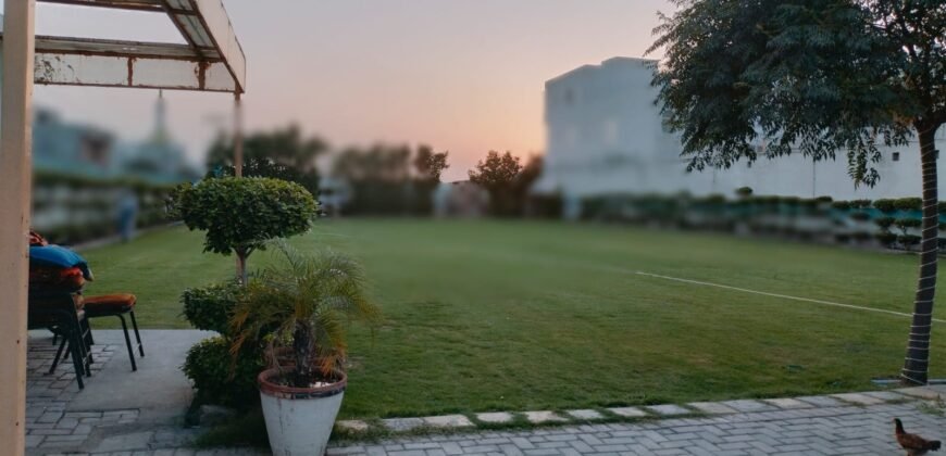 PINEAVENUE FARMHOUSE 297