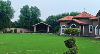 BEDIAN ROAD FARMHOUSE 304