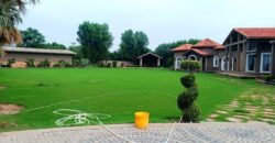 BEDIAN ROAD FARMHOUSE 304