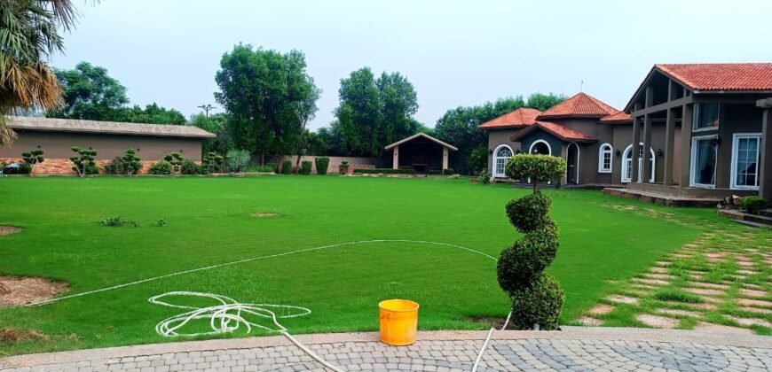 BEDIAN ROAD FARMHOUSE 304