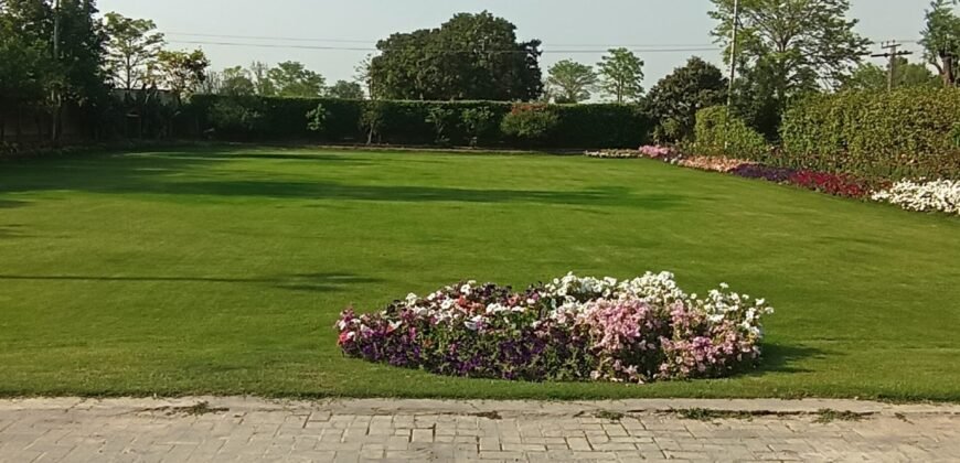 BEDIAN ROAD FARMHOUSE 280