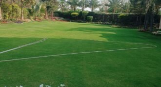 BEDIAN ROAD FARMHOUSE 280