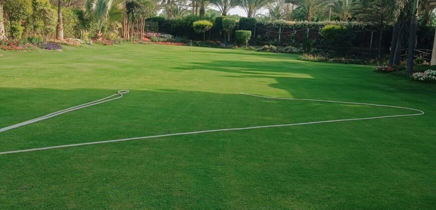 BEDIAN ROAD FARMHOUSE 280