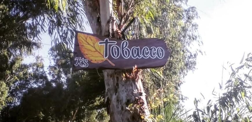 BEDIAN ROAD FARMHOUSE 300