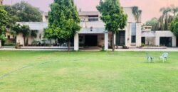 GULBERG FARMHOUSE 76