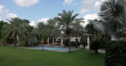 DHA FARMHOUSE 204