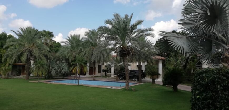 DHA FARMHOUSE 204