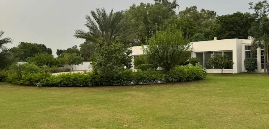 BEDIAN ROAD 180