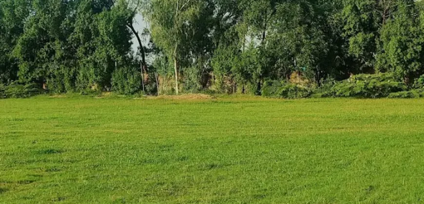 BEDIAN ROAD FARMHOUSE 190