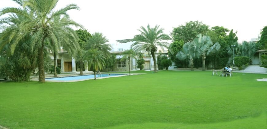 BARKI ROAD FARMHOUSE   217