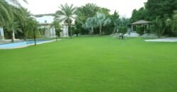 DHA FARMHOUSE 204
