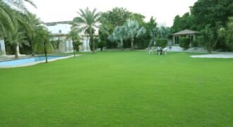 DHA FARMHOUSE 204
