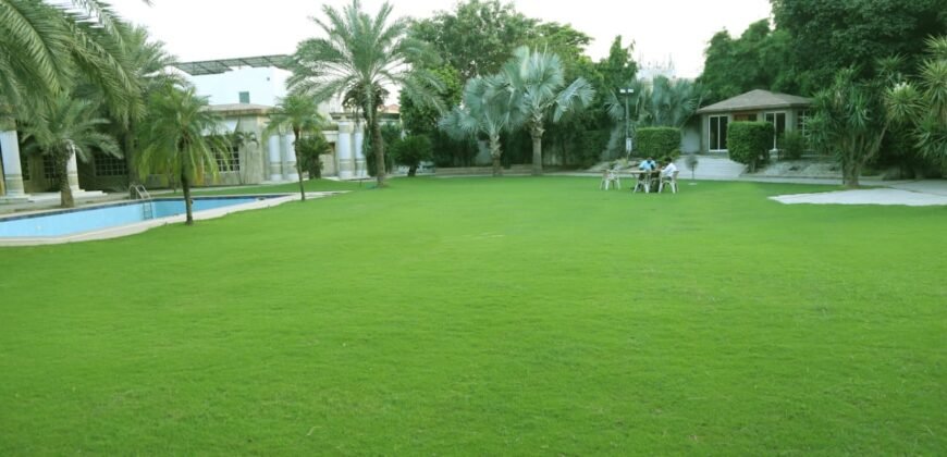 DHA FARMHOUSE 204