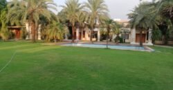 DHA FARMHOUSE 204
