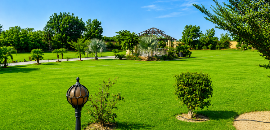 GREEN ACRE FARMHOUSE  221