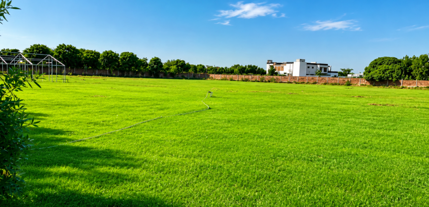 GREEN ACRE FARMHOUSE  221