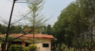 BEDIAN ROAD 176