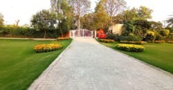 BEDIAN ROAD 174