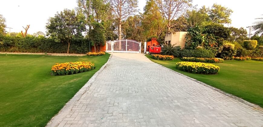BEDIAN ROAD 174