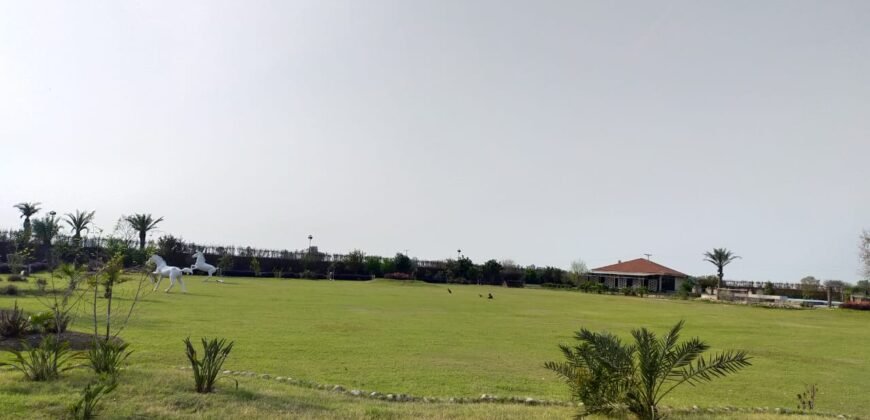 BEDIAN ROAD farmhouse 234
