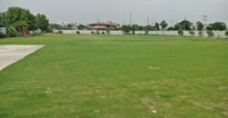 BARKI ROAD FARMHOUSE   217