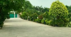 BEDIAN ROAD 210