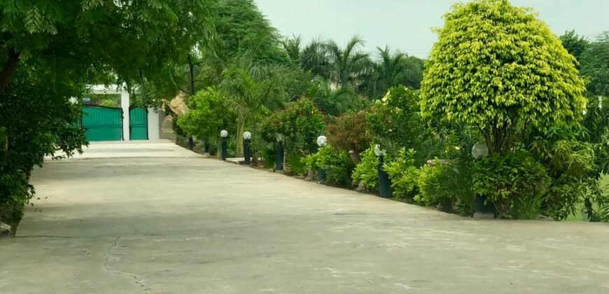 BEDIAN ROAD 210