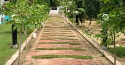 BEDIAN ROAD 210