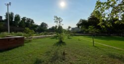 VALANCIA FARMHOUSE 209