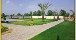 BARKI ROAD FARMHOUSE  222