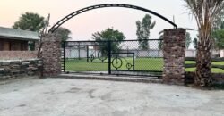 FEROZPUR ROAD FARMHOUSE 215