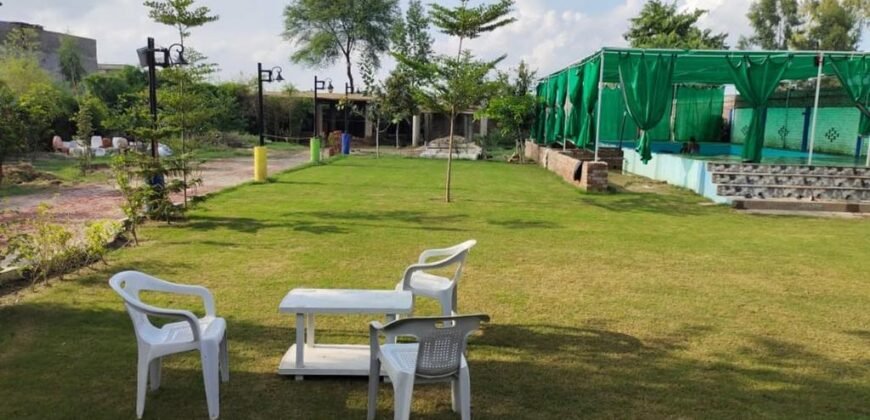 FEROZPUR ROAD FARMHOUSE 215