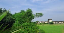 BARKI ROAD FARMHOUSE  184