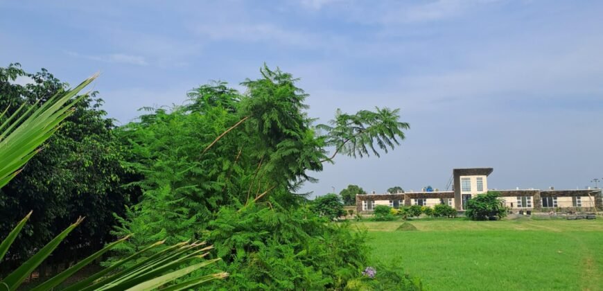 BARKI ROAD FARMHOUSE  184