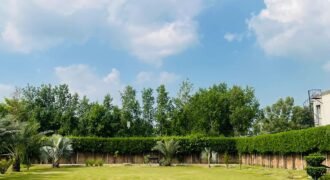 BARKI ROAD FARMHOUSE 166