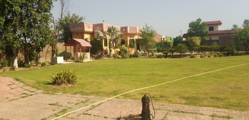 BEDIAN ROAD 175